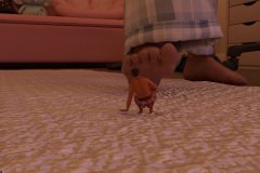 Smallara Episode 353