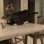 Smallara Episode 30: A Giantess Story