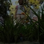 Smallara Episode 282: A Giantess Story