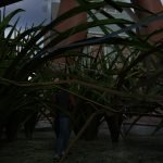 Smallara Episode 285: A Giantess Story