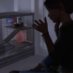 The Birthday Shipment Episode 6: A Smallara Side Story
